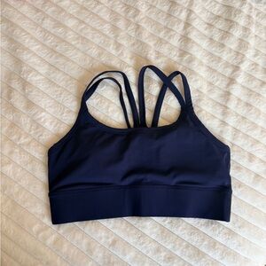 Fabletics Deep Blue Sports Bra
